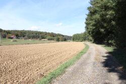 V Markovcih je bila sanirana tudi javna pot JP620-341